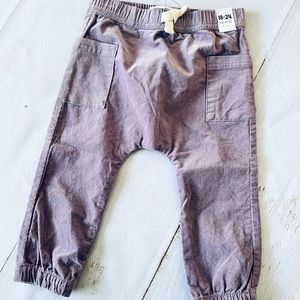 Purple Corduroy Pants